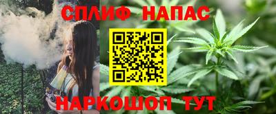 МДПВ Будённовск