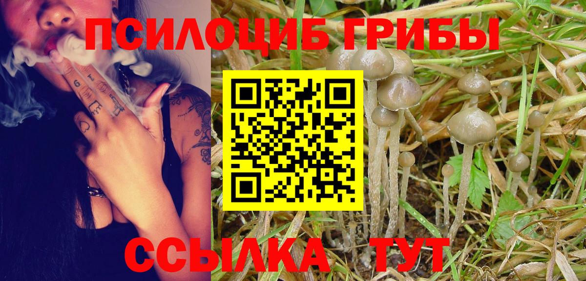Бор  Псилоцибиновые грибы прущие грибы  купить наркотики сайты  Вход с VPN 