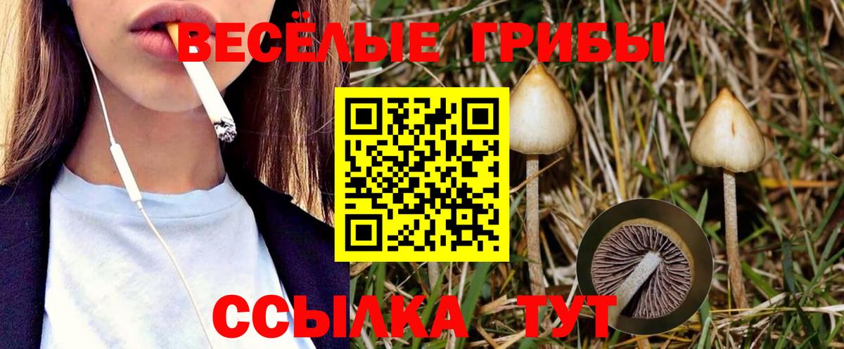 Псилоцибиновые грибы мухоморы Бор